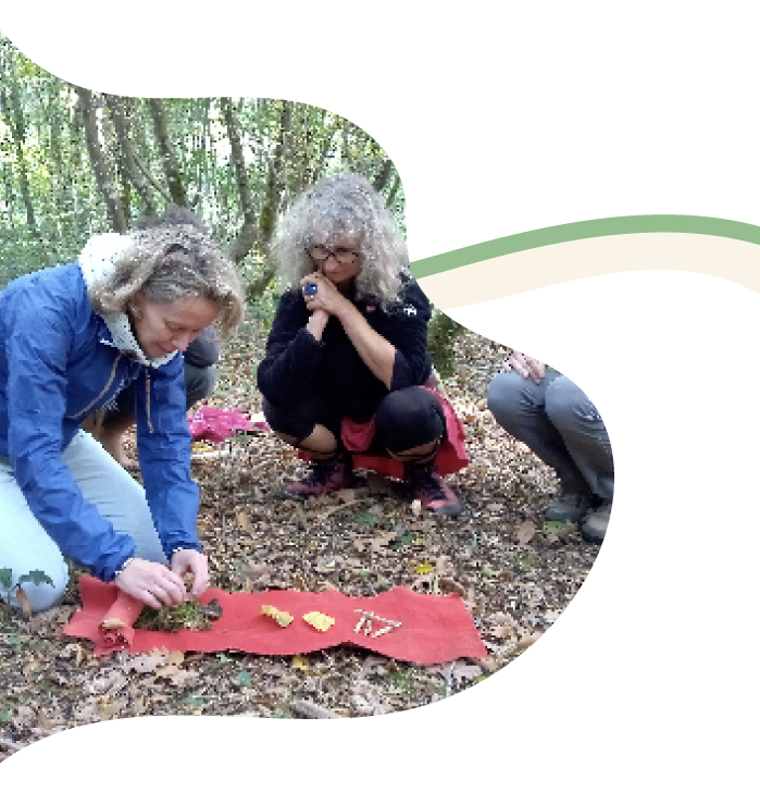 Photo d'un atelier dans la forêt