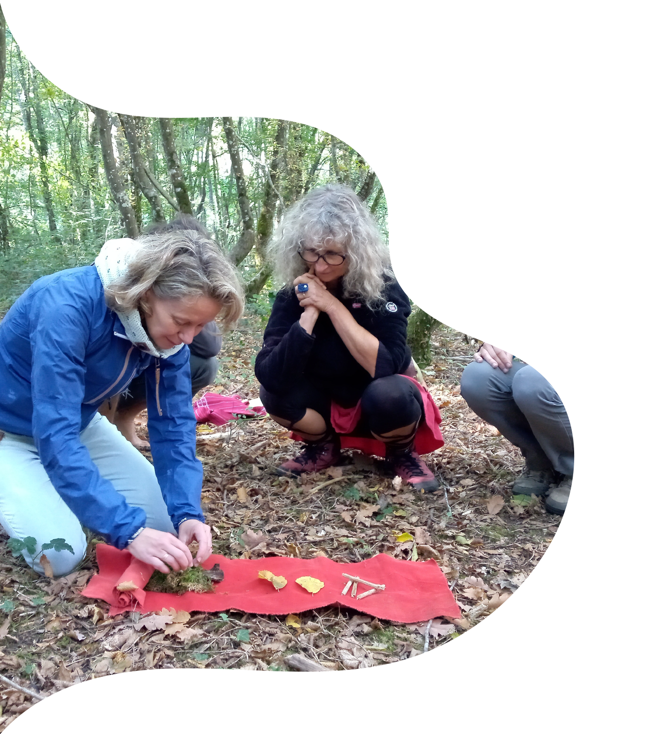 Photo d'un atelier dans la forêt